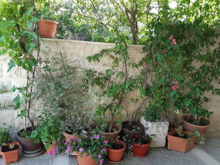 Apartment Biljana Bol Luaran gambar
